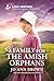 A Family for the Amish Orphans: An Uplifting Inspirational Romance – A Small Town Contemporary Christian Story of Faith and Family (Amish of Lost River, 4)
