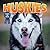 Huskies