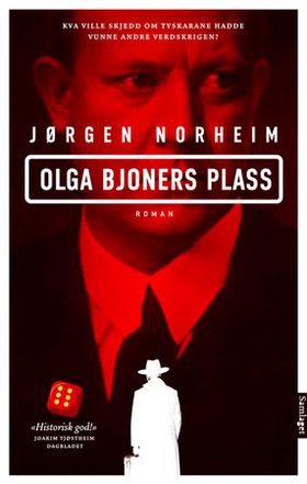 Olga Bjoners plass (Hardcover)