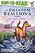 Feather the Foal: Ready-to-Read Level 2 (The Phantom Stallion's Family)
