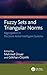 Fuzzy Sets and Triangular Norms: Aggregation in Decision-Aided Intelligent Systems (Intelligent Data-Driven Systems and Artificial Intelligence)