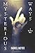 Mysterious Ways (Sam Adams,...