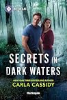 Secrets in Dark W...