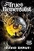 True Elementalist (Elwin Escari Chronicles Book 4)