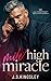 Mile High Miracle (The Chester Street Billionaires Book 1)