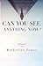 Can You See Anything Now?: ...
