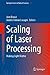 Scaling of Laser Processing: Making Light Matter (Springer Series in Optical Sciences, 257)