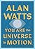You Are the Universe in Motion