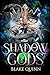 Shadow Gods by Blake Quinn