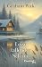 Leise fallender Schnee: Roman