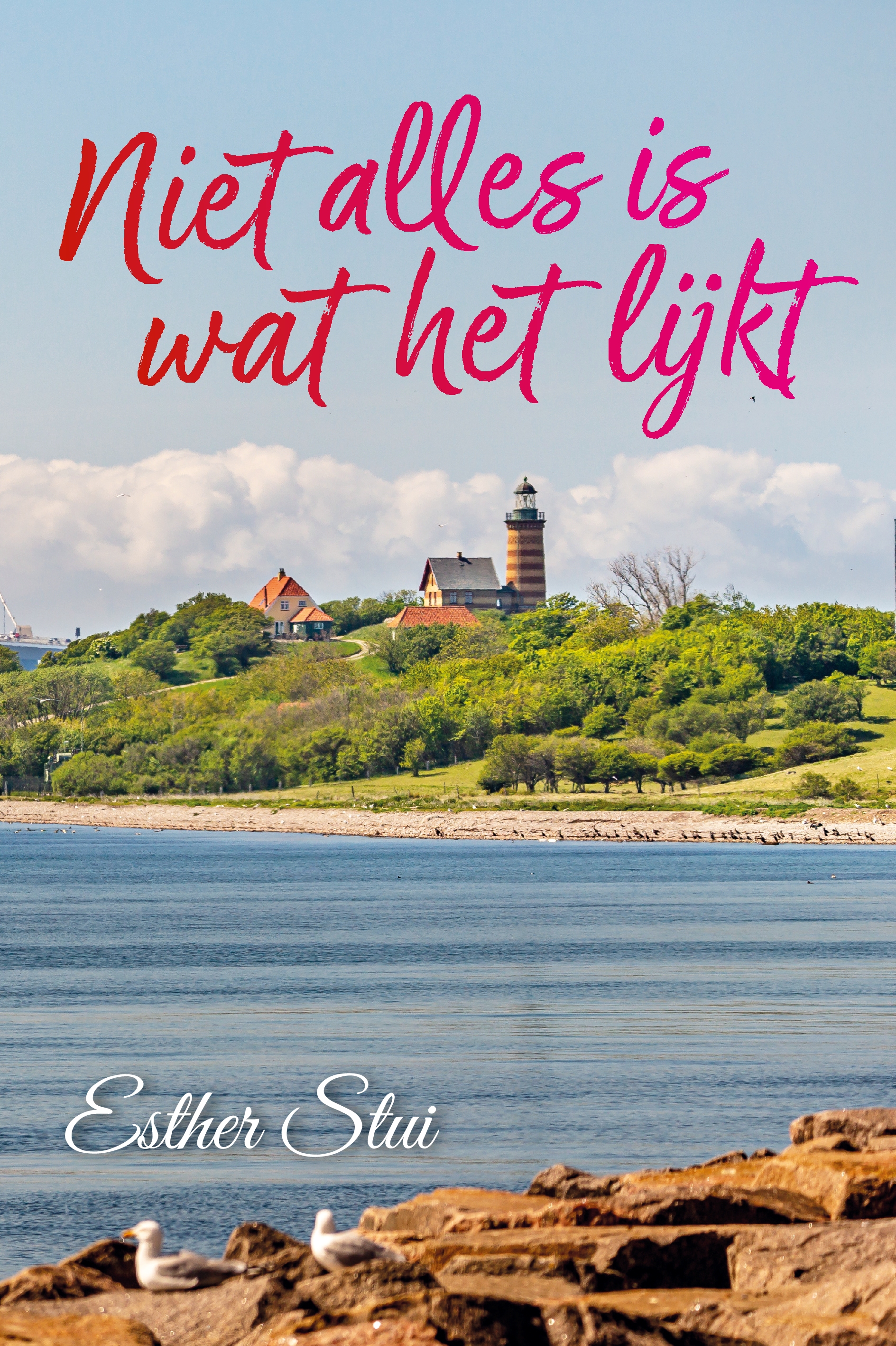 Niet alles is wat het lijkt (Paperback)