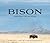Bison: Portrait of an Icon