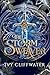 The Storm Weaver