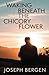 Waking Beneath the Chicory Flower