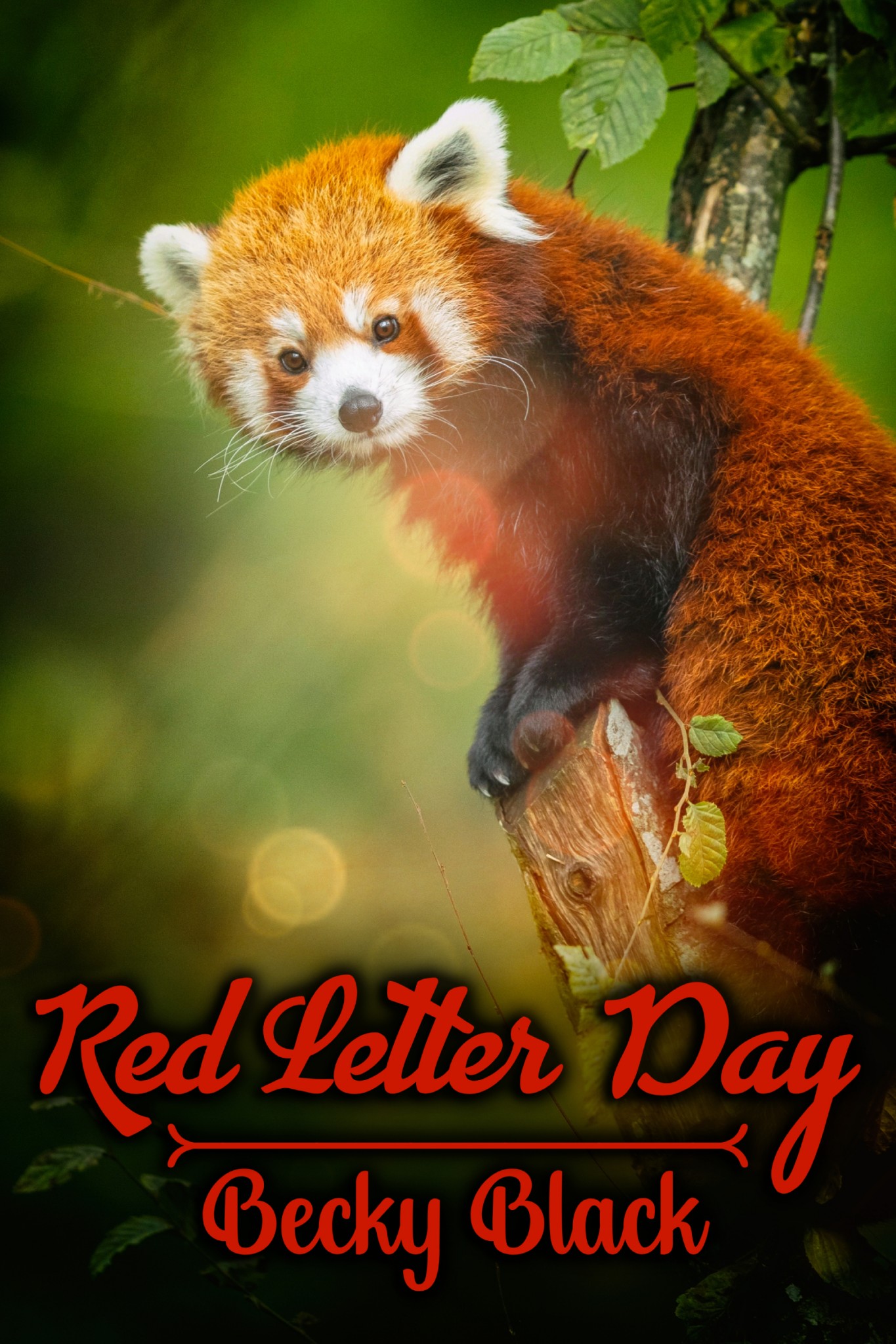 Red Letter Day (ebook)