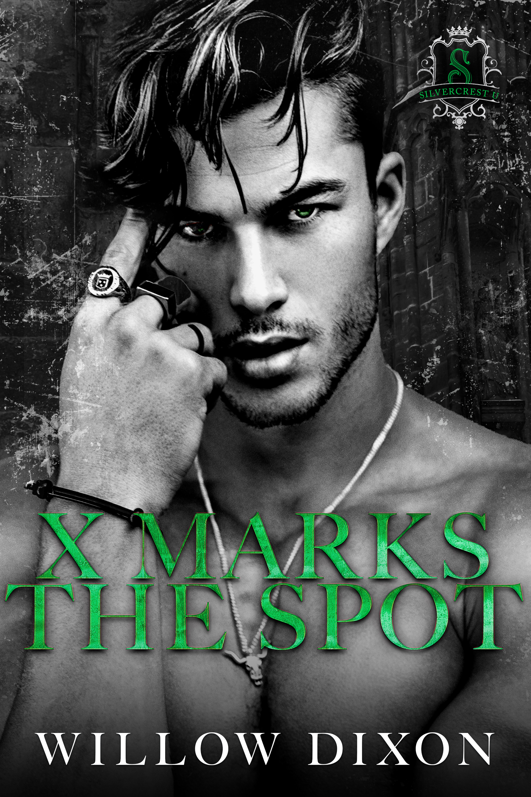X Marks the Spot (Silvercrest U, #4)