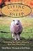 Living with Sheep: Everythi...