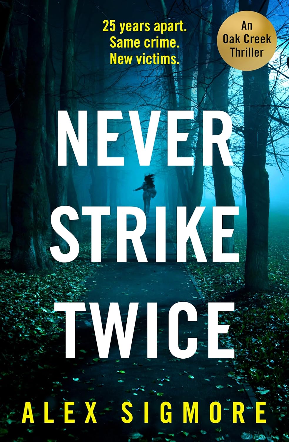 Never Strike Twice (Oak Creek Thriller Book 2)