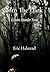 Into The Dark: A Shane Alexander Novel