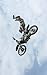 Notebook: Motorcycle Acrobatics
