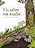 Un arbre est tombé...