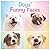 Dogs’ Funny Faces by Suzan Issa