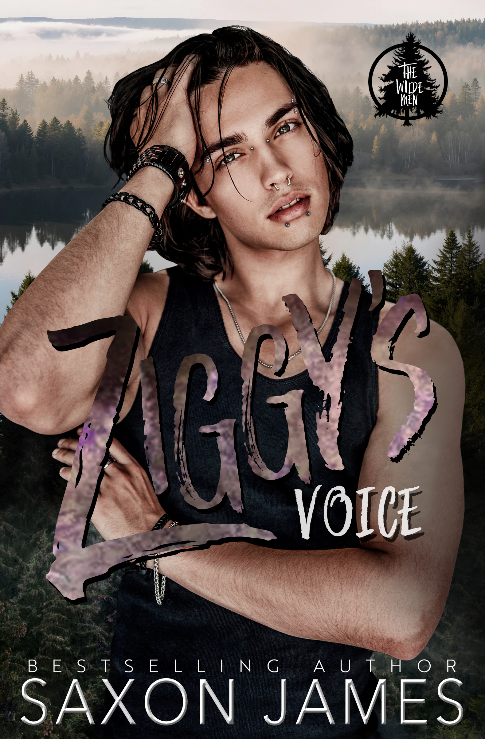 Ziggy's Voice (The Wilde Men, #2)