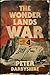 The Wonder Lands War (The B...