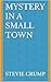 Mystery in a Small Town
