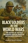 Black Soldiers in...
