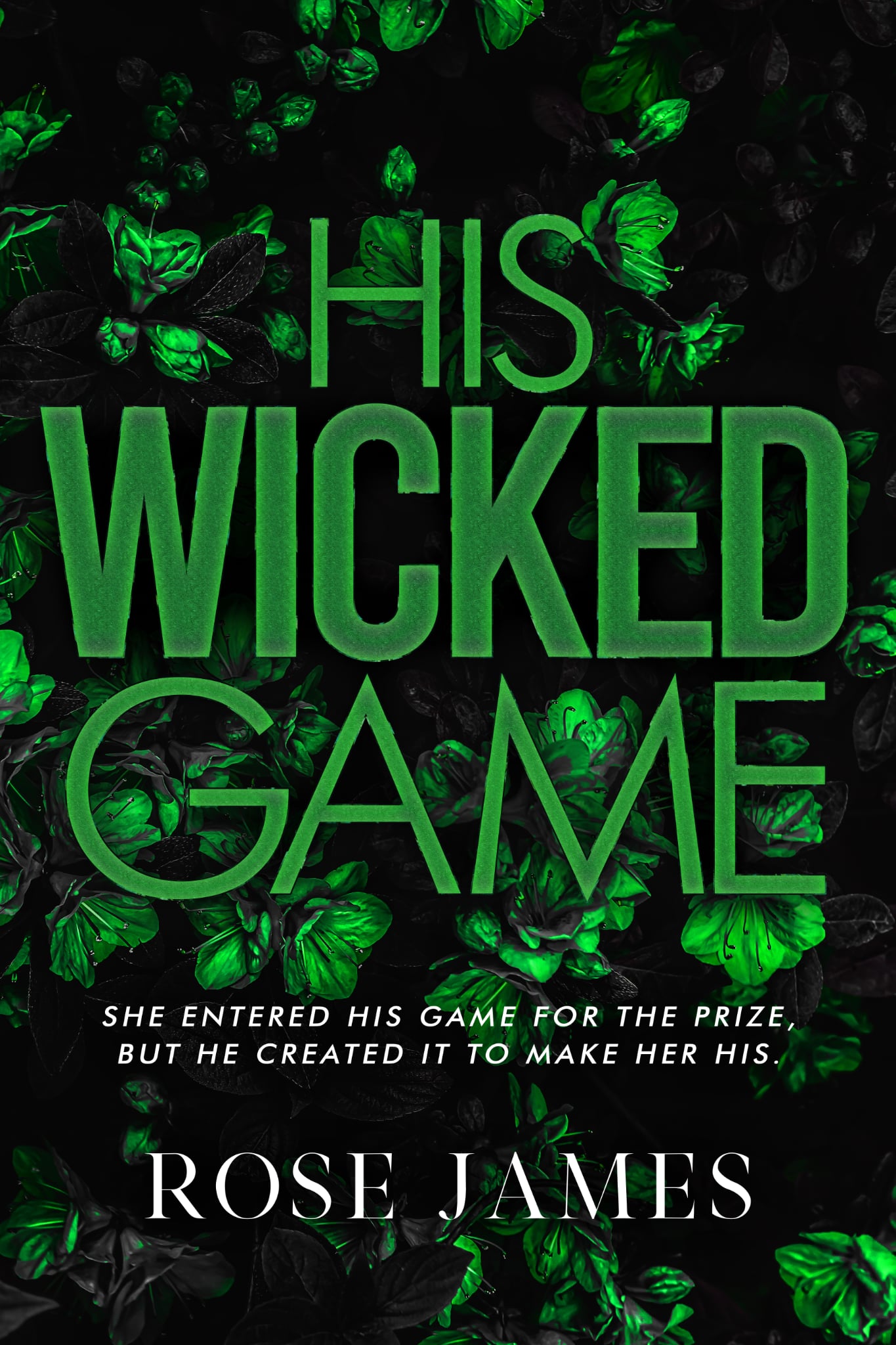 His Wicked Game (Sins of Stonewood #1)