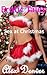 Erotic Tales: Sex at Christmas