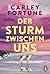 Der Sturm zwischen uns: Rom...