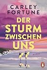 Der Sturm zwische...