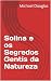 Solina e os Segredos Gentis...