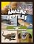 Amazing Reptiles - Fun Fact...