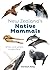 New Zealand's Native Mammals: When are where to see them