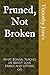 Pruned, Not Broken: What Bo...