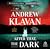 After That, the Dark: Cameron Winter Mysteries, Book 5