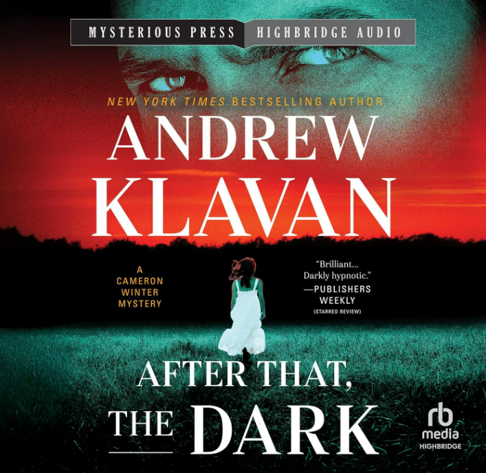 After That, the Dark: Cameron Winter Mysteries, Book 5