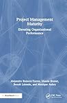 Project Management Maturity: Elevating Organizational Performance