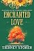Enchanted Love (holiday romance novella Book 1)