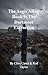 The Aegis Affair Book 9: The Dartmoor Extraction