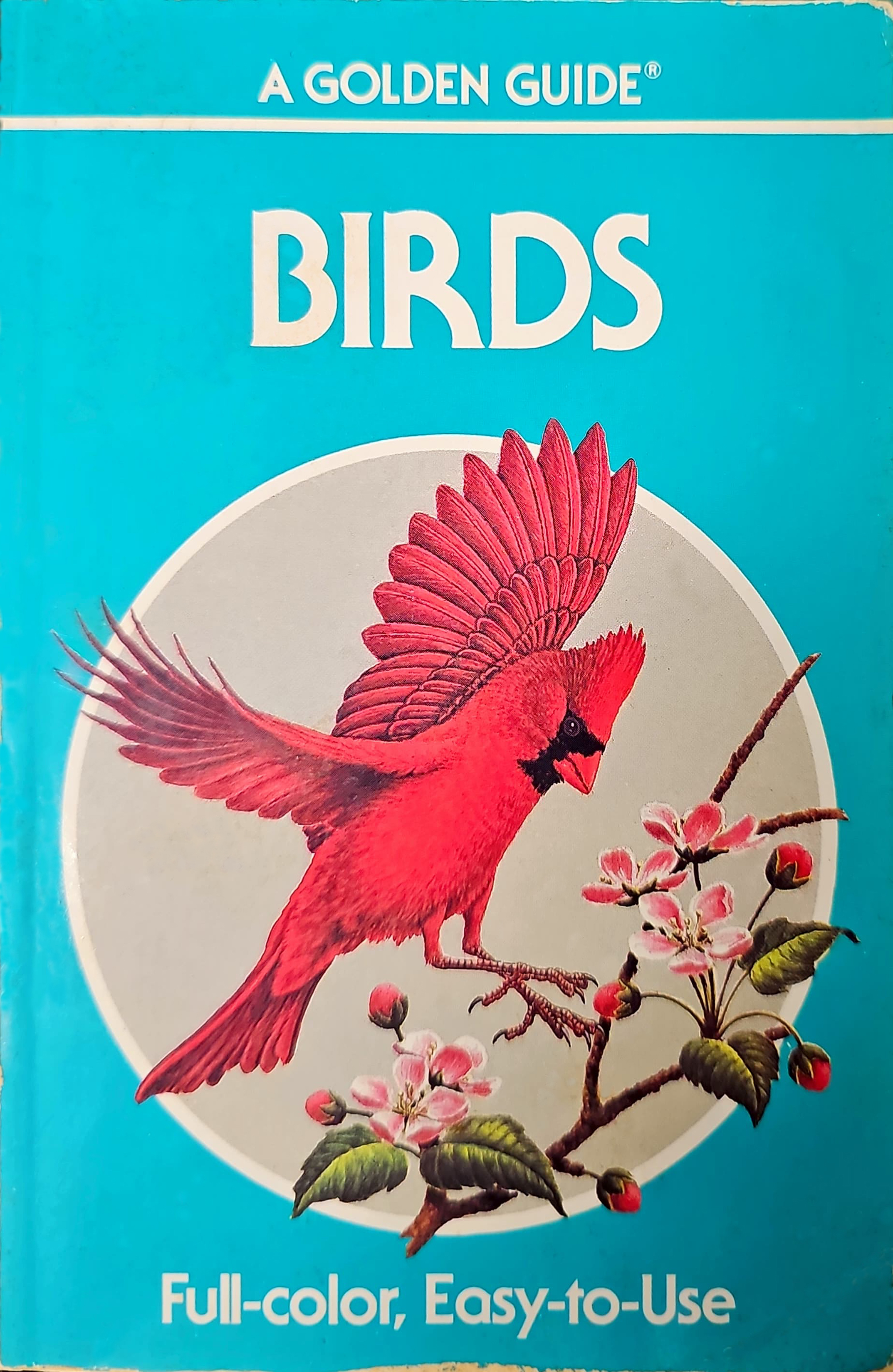 Birds: A Guide to Familiar American Birds (Paperback)