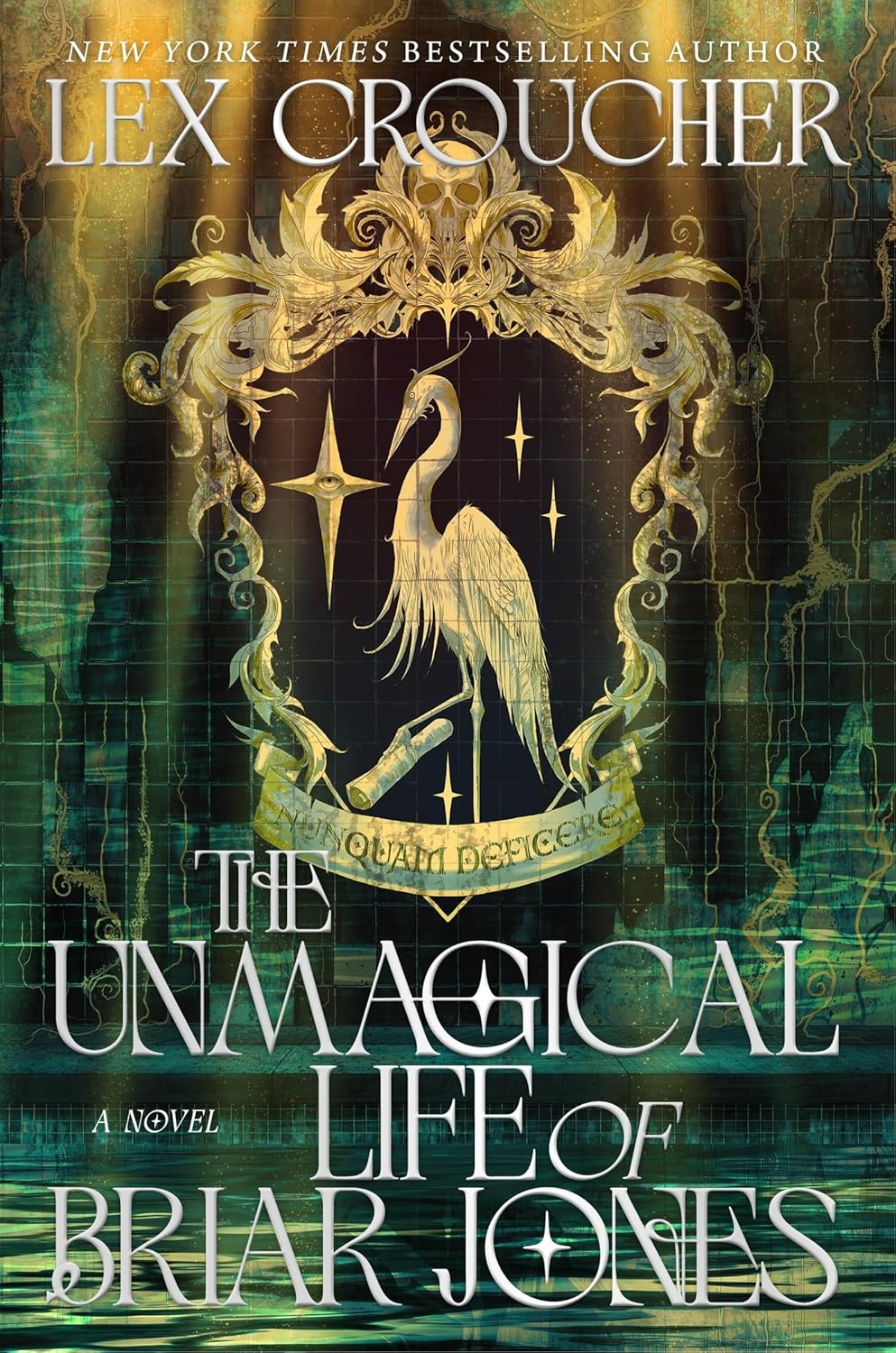 The Unmagical Life of Briar Jones: A Novel (Hardcover)