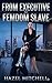 From Executive To FemDom Sl...