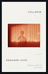 Collapse: A Novel