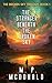 The Stranger Beneath the Broken Sky: A Post-Apocalyptic Novel
