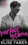 Perfect Storm by Elise Faber