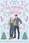 The Promise of Forever: A Small Town, Best Friend's Brother, Single Dad Winter Romance (Holly Ridge)